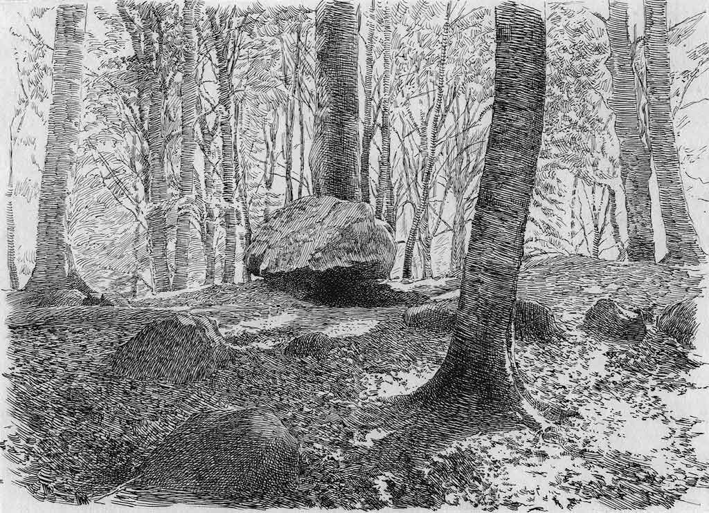Click for the gallery page to add comments and vote (PID:68889) Slagelse Lystskov Langdysse 2