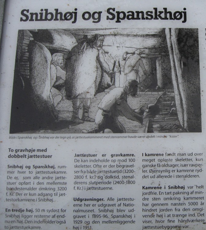 Click for the gallery page to add comments and vote (PID:53651) Hannerup Snibhøj Jættestue