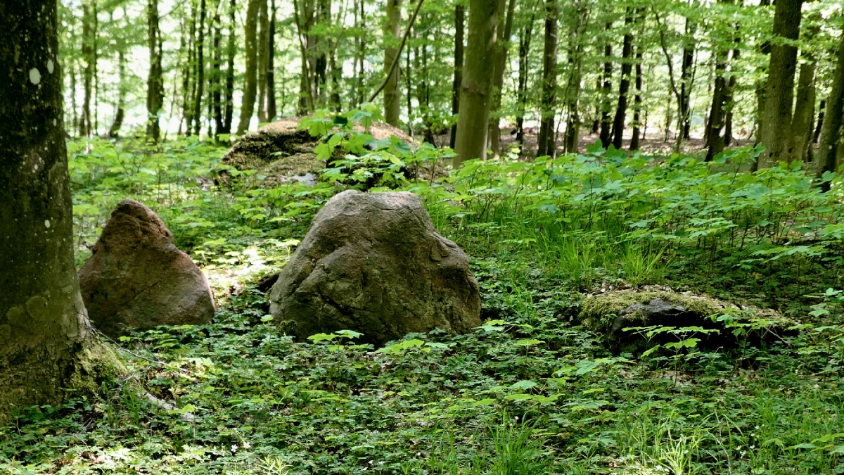 Sønder Hostrup Runddysse