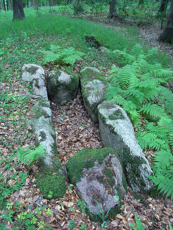 Stenkobbel Langdysse 1