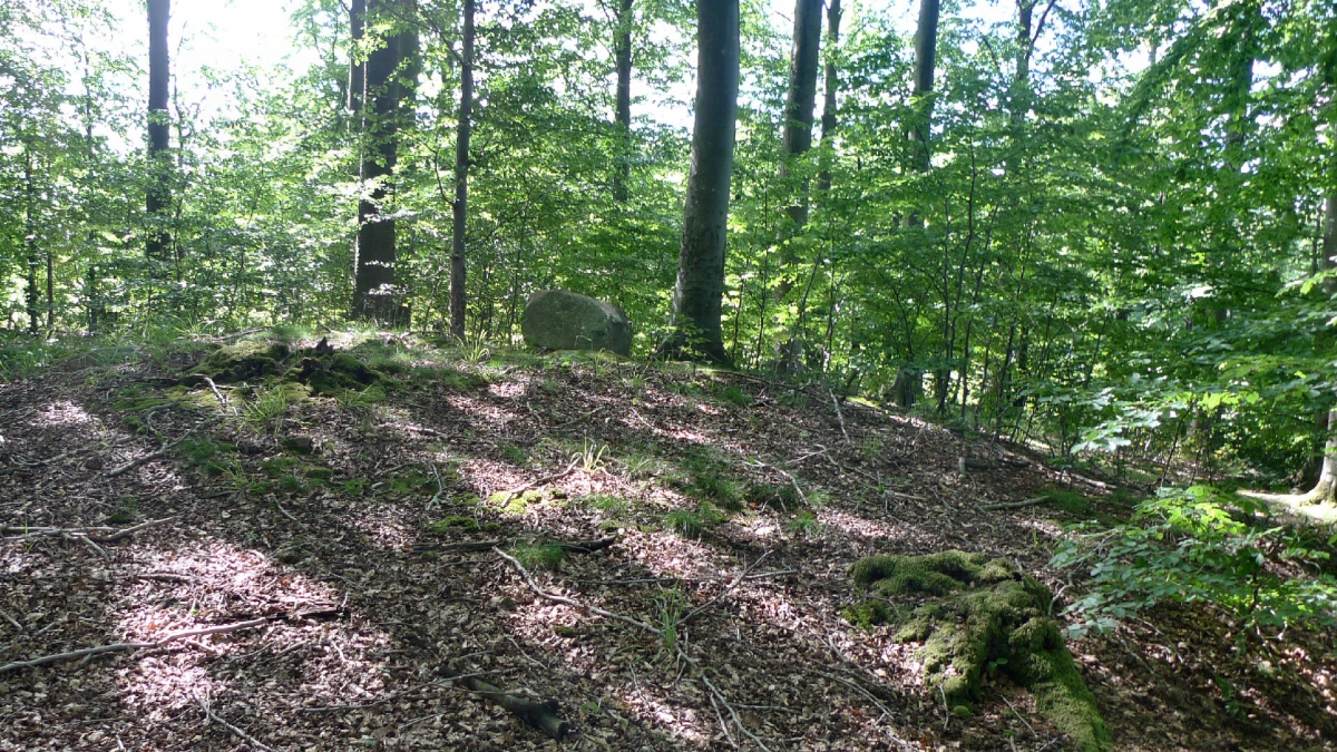 Stubbæk Skov Runddysse 1