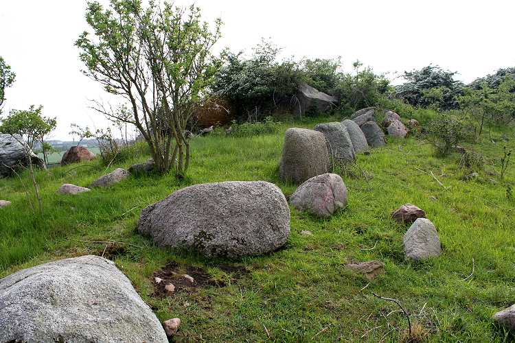 Tårnborg Gods Langdysse 1