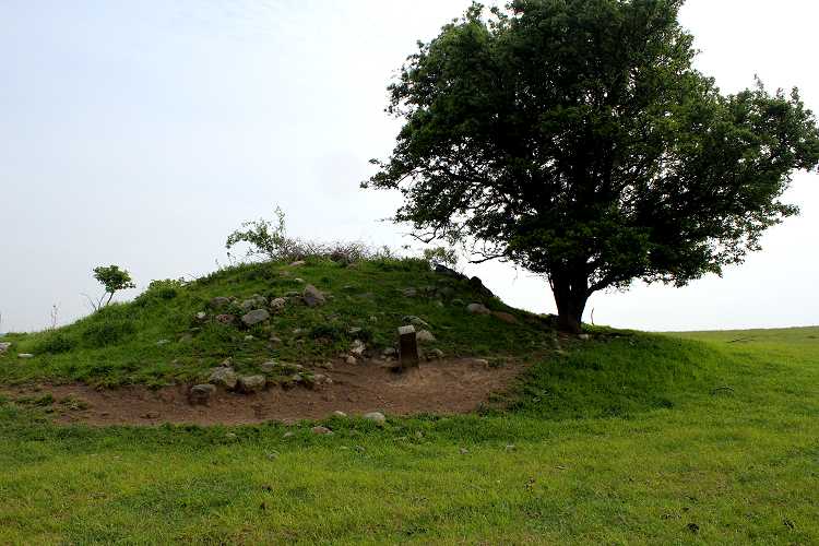 Click for the gallery page to add comments and vote (PID:77057) Tårnborg Gods Runddysse 3