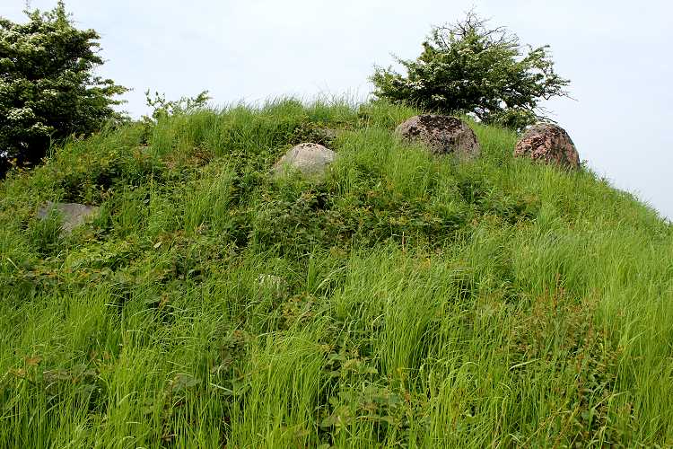 Click for the gallery page to add comments and vote (PID:77070) Tårnborg Gods Runddysse 1