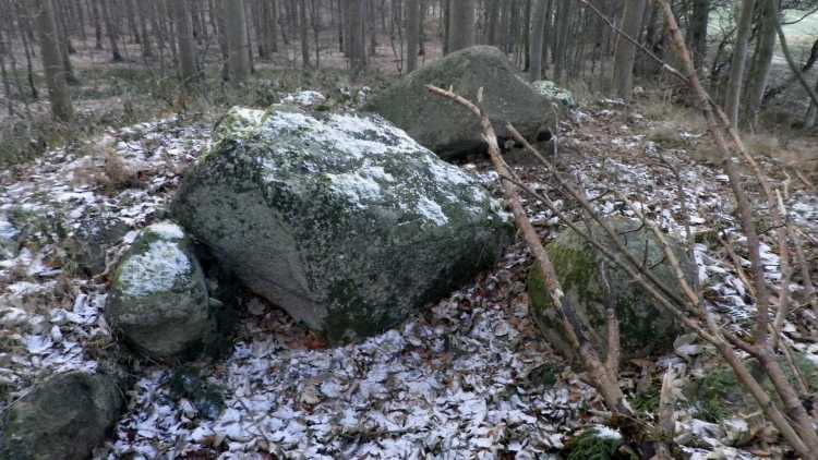 Click for the gallery page to add comments and vote (PID:71548) Tolsbjerg Skov Jættestue 1