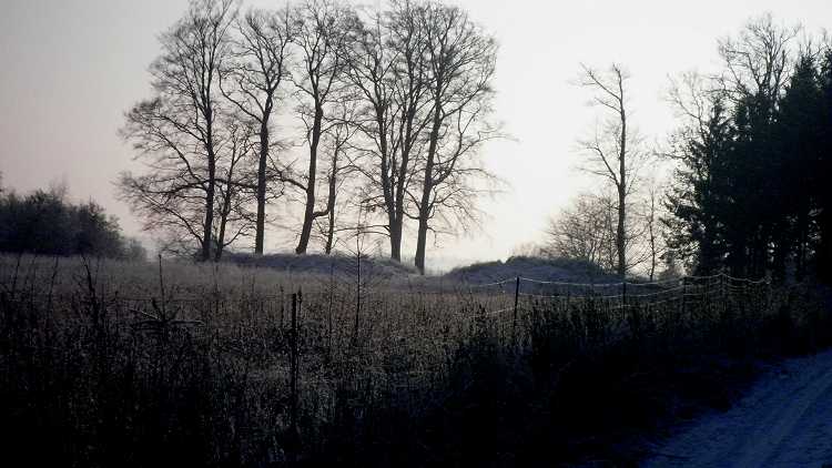 Click for the gallery page to add comments and vote (PID:71662) Rugkrogen Rundhøj
