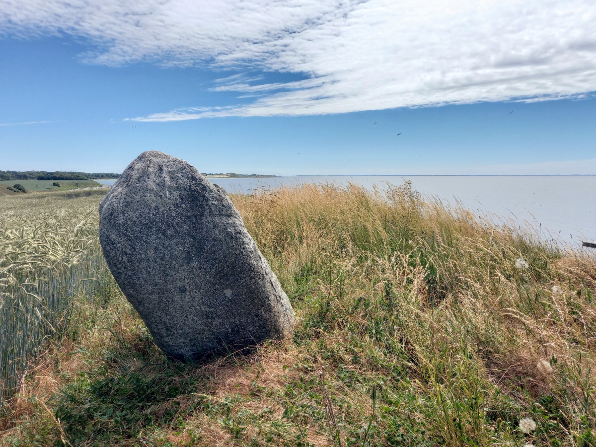 Click for the gallery page to add comments and vote (PID:228583) Tynebjergstenen