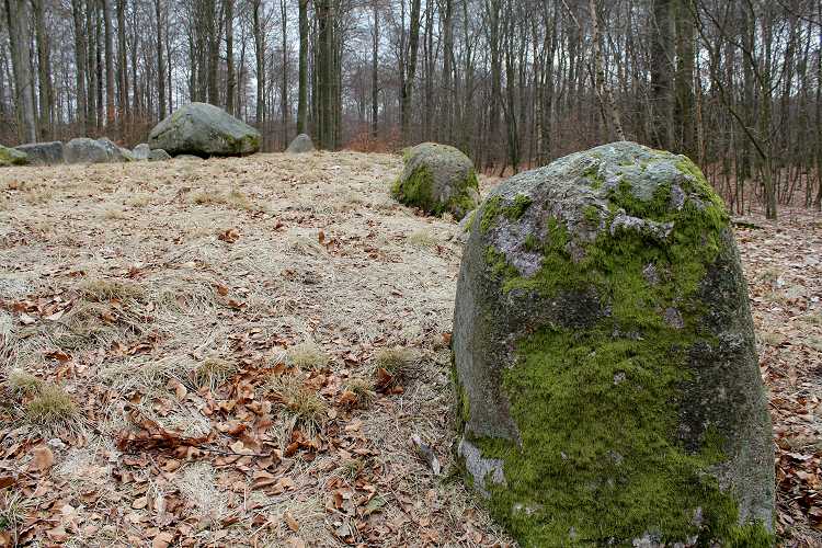 Valby Hegn Langdysse 6