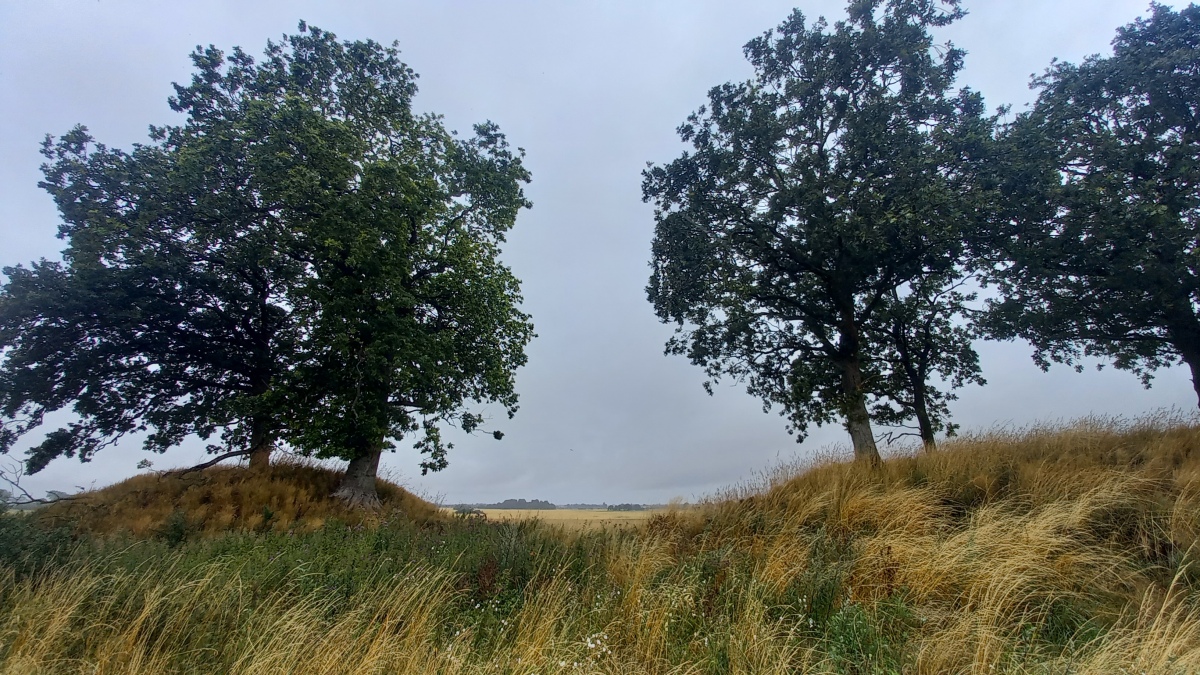 Click for the gallery page to add comments and vote (PID:261085) Gravhøje Valdbygaard