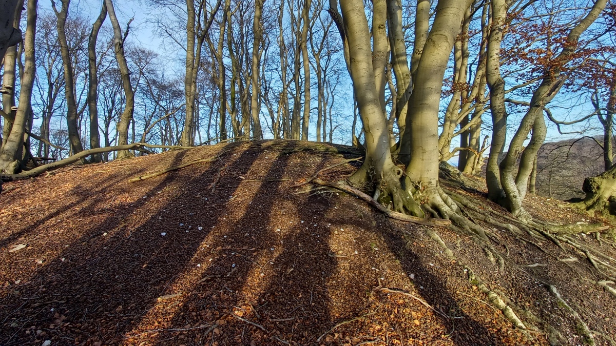 Click for the gallery page to add comments and vote (PID:285192) Jydelejet Rundhøj