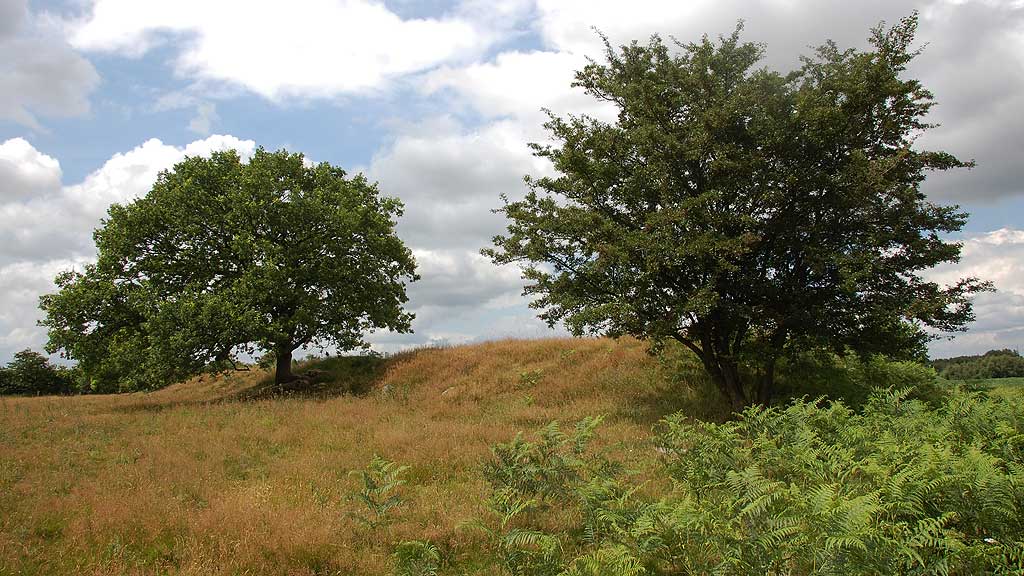 Long Barrow, 52.50 m l in NE-SW, 11 m wide.
Earth mound from 1.75 to 2.25 m high.
Midst of this a hole, the chamber has been robbed.
Of chambers seen a side stone towards W, 1.50 m x 0.50 m, partial 
covered with soil, and a burst stump. 6 kerb stones, partly bursted,
at the west side, 4 against south, 2 against north.

