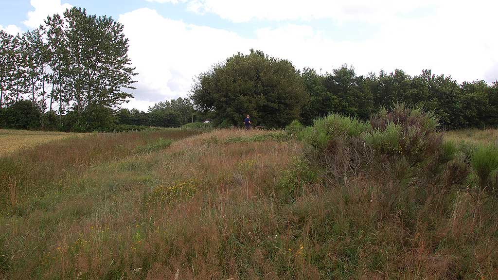 Click for the gallery page to add comments and vote (PID:61857) Vedsted Langdysse 4