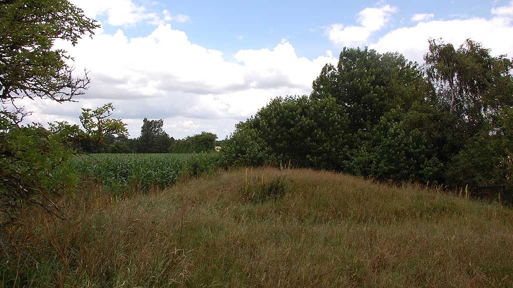 Click for the gallery page to add comments and vote (PID:61841) Vedsted Langdysse 5