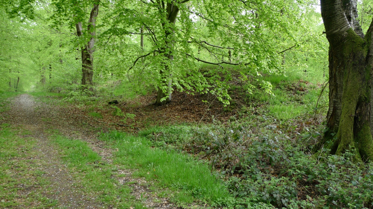 Lambjerg Indtægt Langdysse 2
