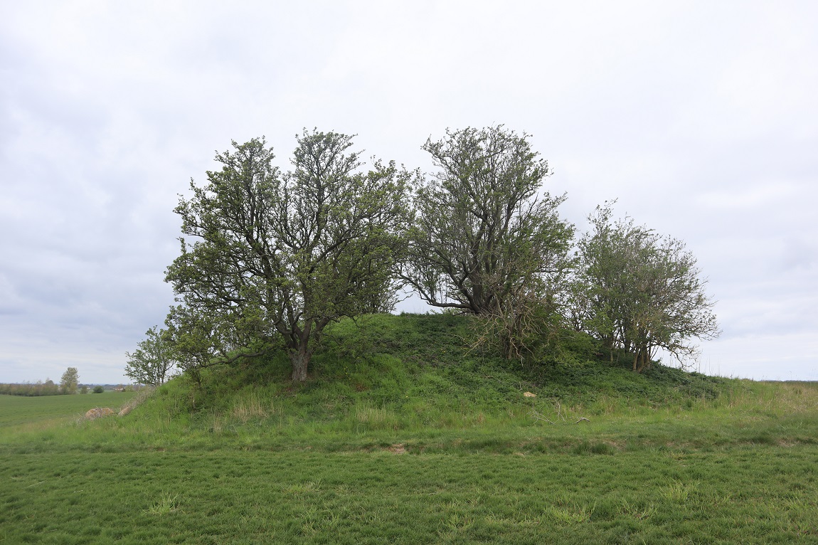 Borhøj (Bildsø)