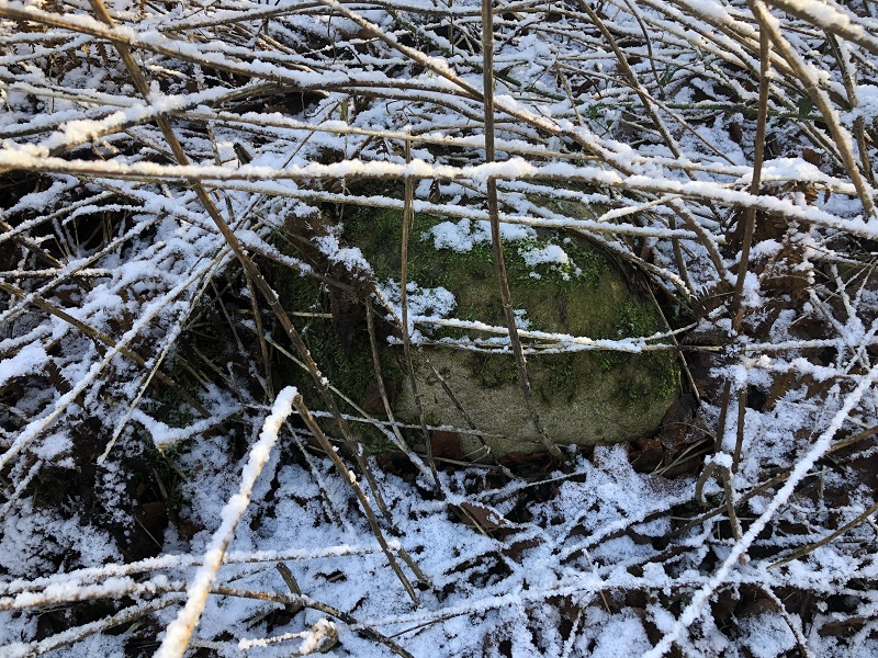Glumsø Østerskov Langdysse 4