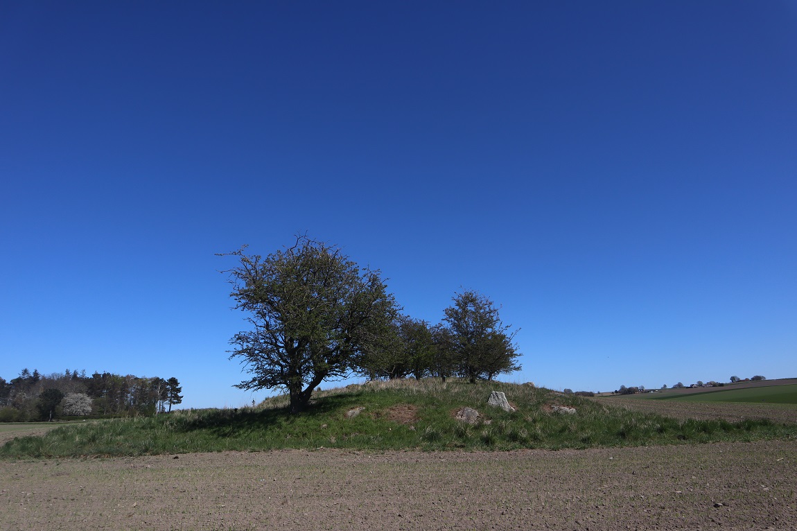 Bildsø Humlebjergsdysse