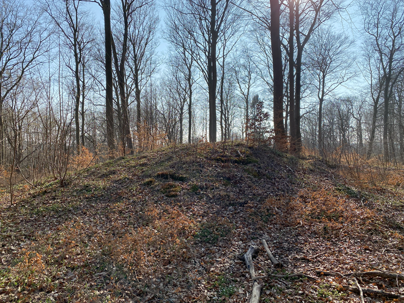 Trørød Skov Rundhøj 4