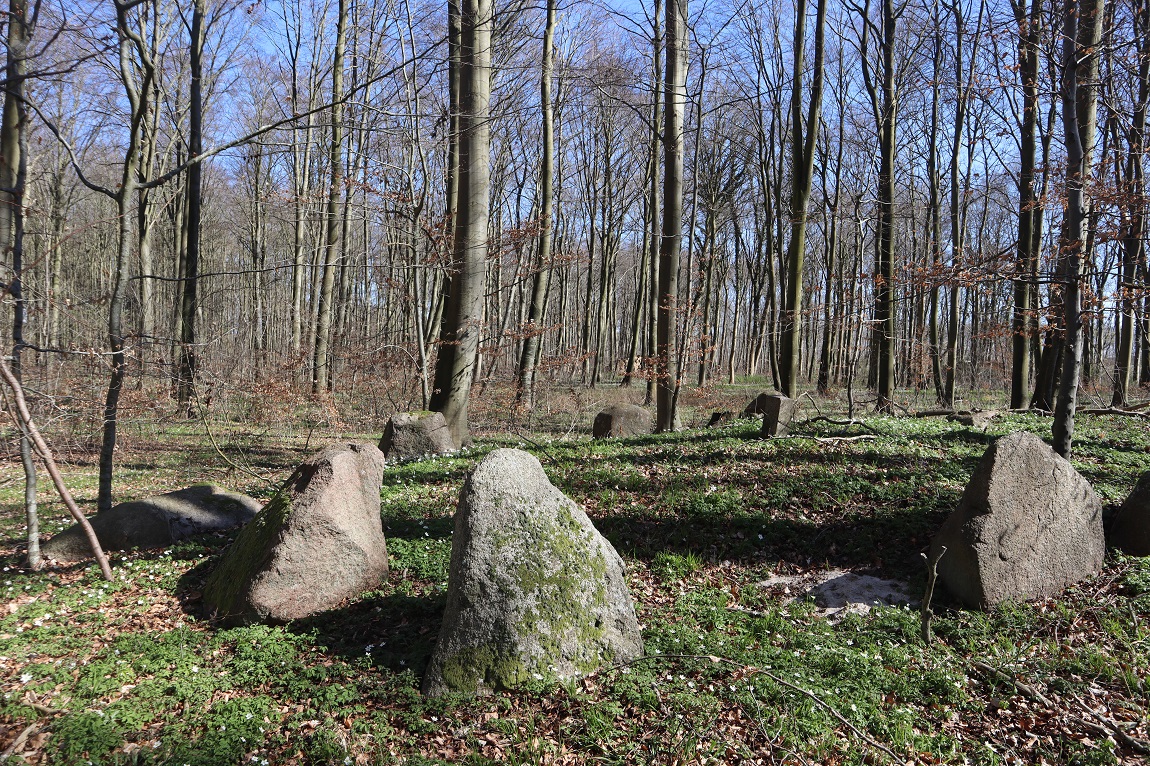 Radsted Dyrehave Langdysse
