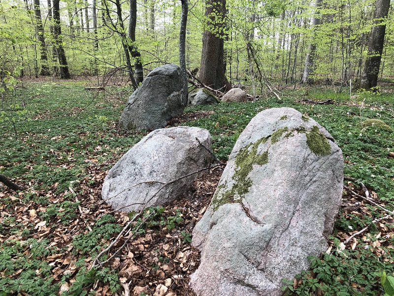 Lille Bøgeskov Rundhøj