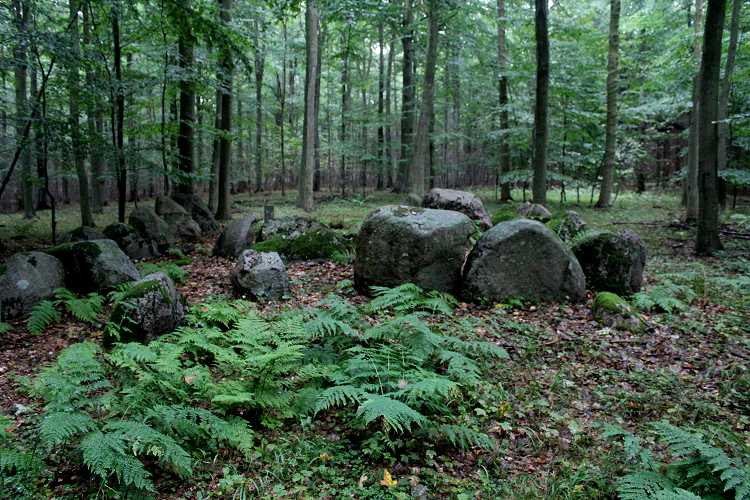 Flintinge Byskov Langdysse 2