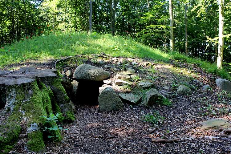 Frejlev Skov Jættestue 1