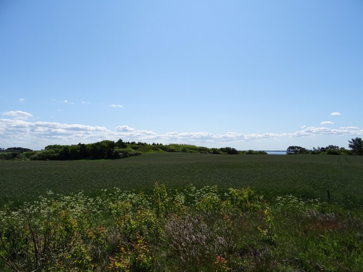 Click for the gallery page to add comments and vote (PID:262886) Lihme Hovedgård Runddysse 2