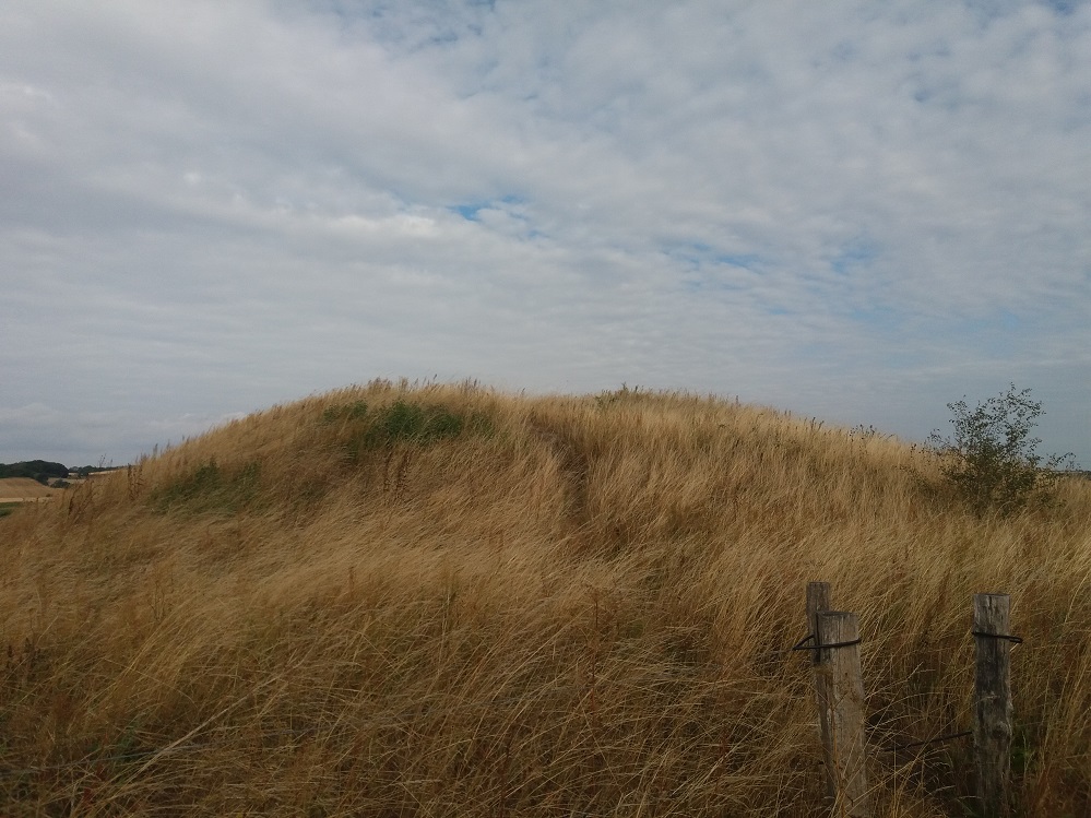 Click for the gallery page to add comments and vote (PID:184951) Ravnehøj