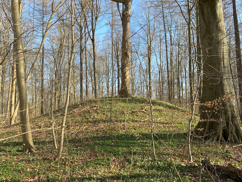 Trørød Skov Rundhøj 7