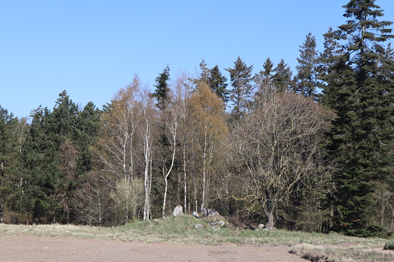 Korup Langdysse
