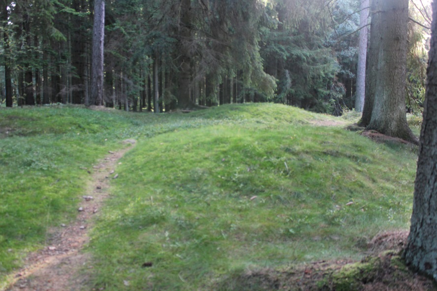 Click for the gallery page to add comments and vote (PID:157410) Galgebakken i Vestermarie Plantage