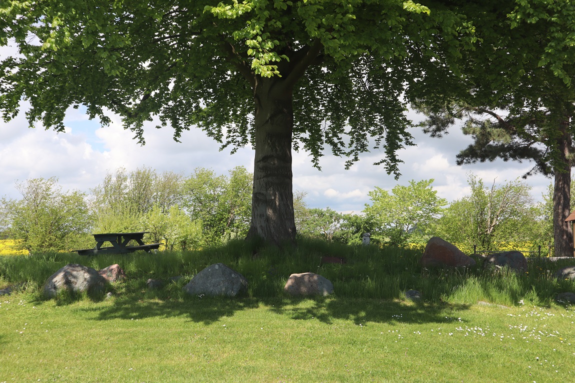 Click for the gallery page to add comments and vote (PID:227536) Stærrede Langdysse