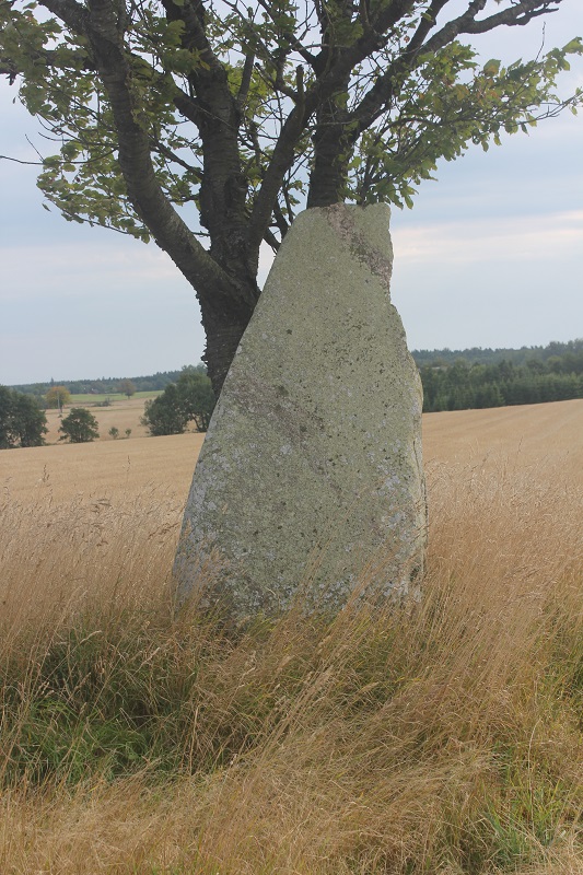 Click for the gallery page to add comments and vote (PID:137723) Højsten Bautasten