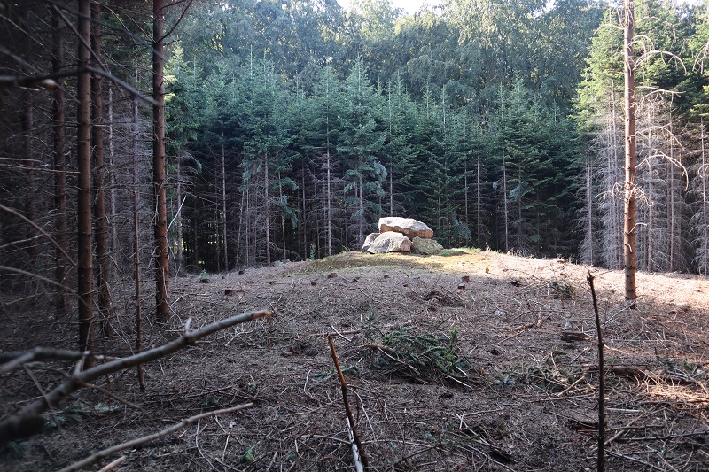 Kårupvænge Skov Runddysse