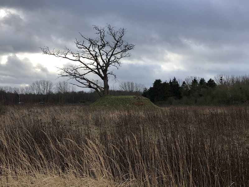 Taarnborg Gods Rundhøj 2