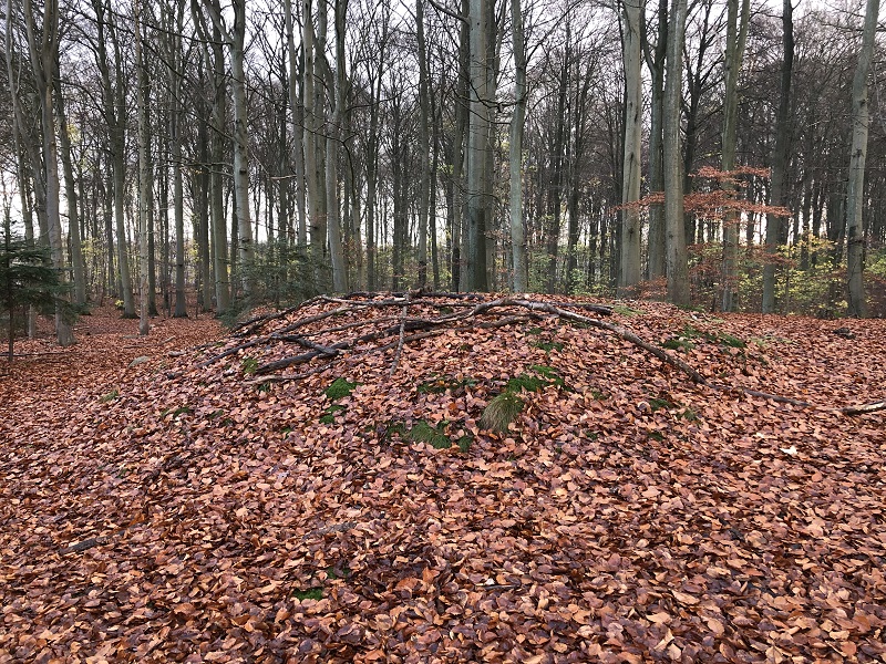 Geel Skov Gravhøj 4