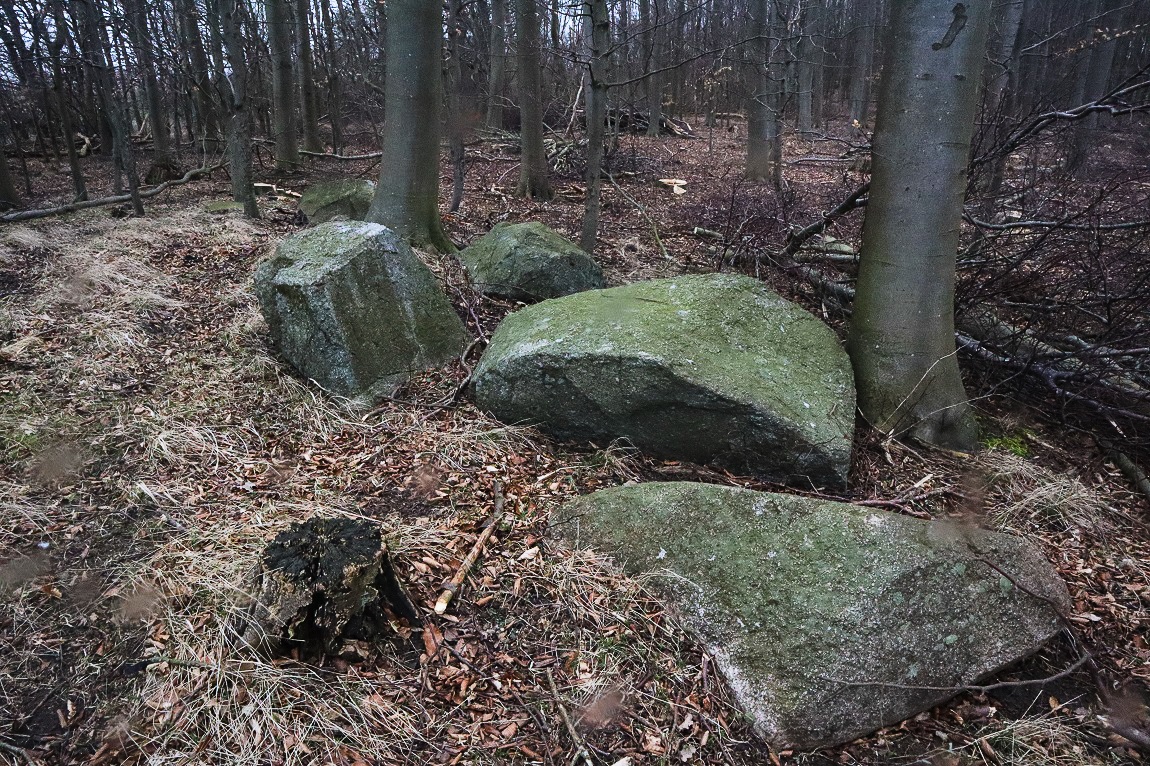 Click for the gallery page to add comments and vote (PID:228988) Fiskebæk Skov Runddysse 2