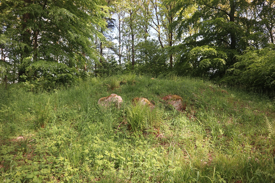 Ringelmose Skov Langdysse 1