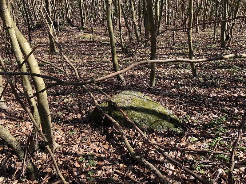 Sorø Sønderskov Megalitgrav 2