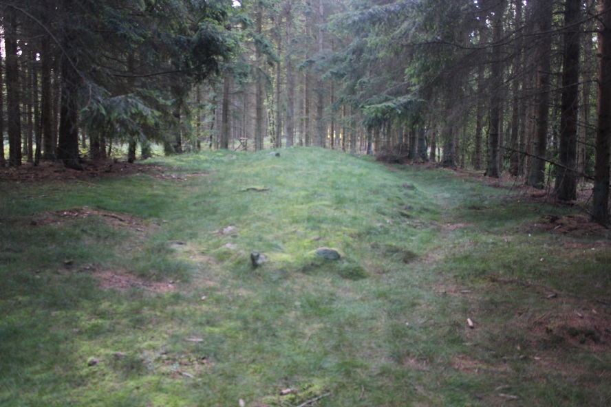 Click for the gallery page to add comments and vote (PID:157406) Skibssætninger i Vestermarie Plantage