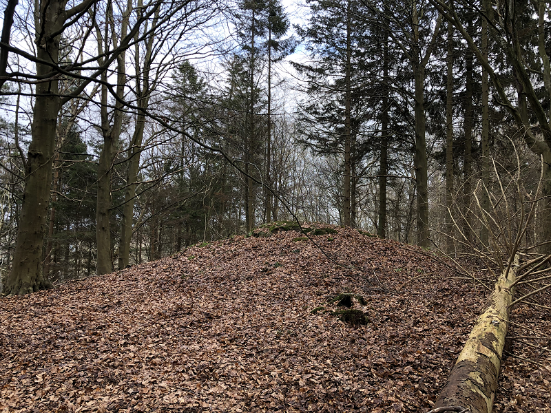 Hornbæk Plantage Rundhøj 6