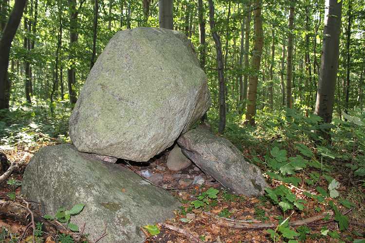 Frostrup Skov Dyssekammer