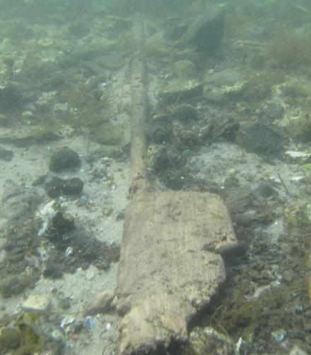 The 6,000-year-old paddles were found exposed on the seabed. (Photo: Claus Skriver)

Site in Skanderborg Denmark
