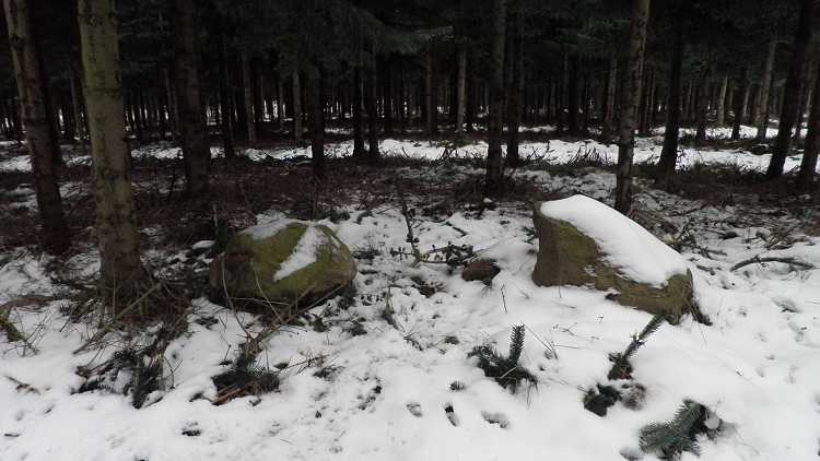 Click for the gallery page to add comments and vote (PID:71296) Helletofte Jættestue 1