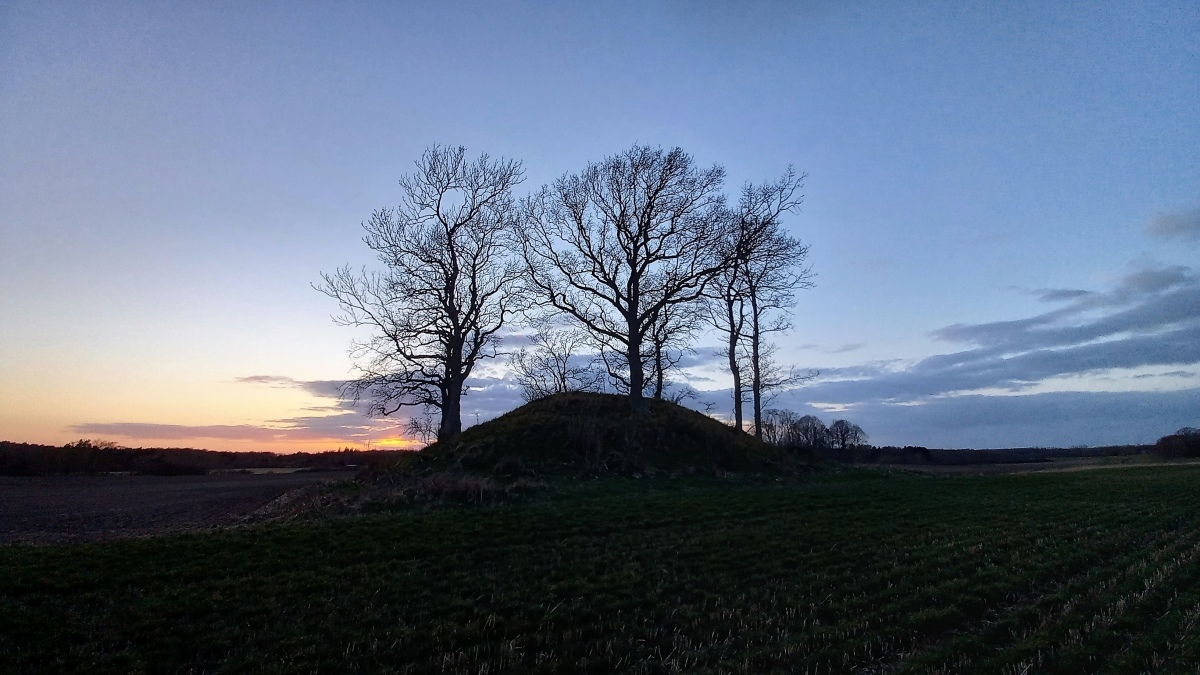 Click for the gallery page to add comments and vote (PID:239476) Holmegaard Rundhøj