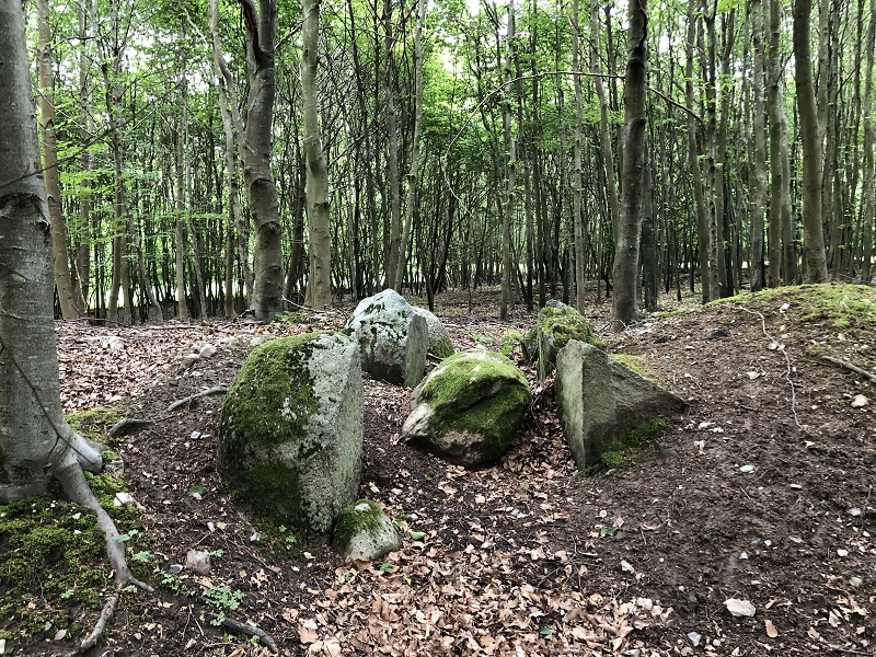Sorø Sønderskov Jættestue