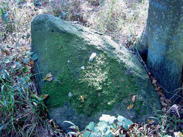 Hestehaveskov Stensætning SB10A