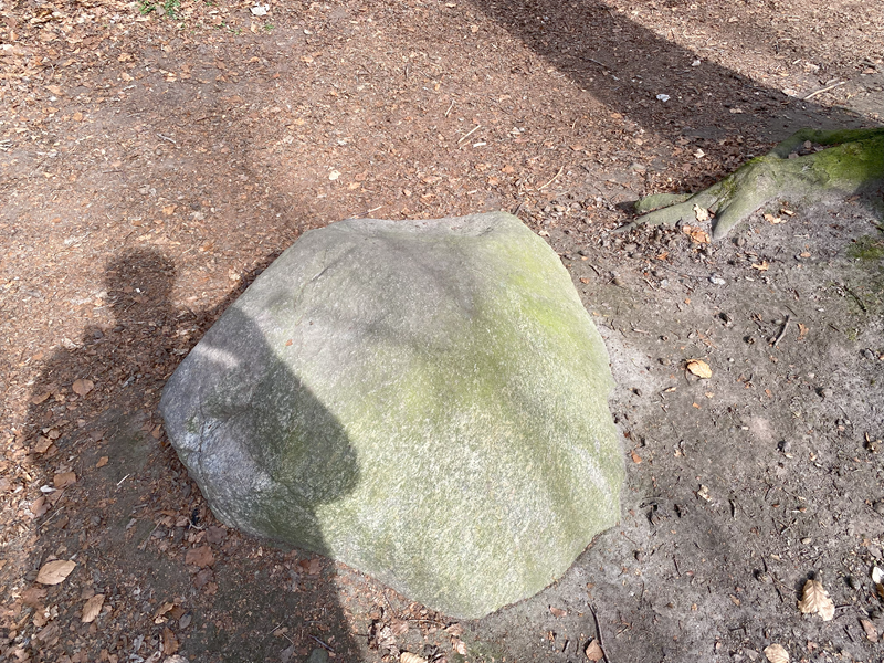 Geel Skov Skåltegn 6