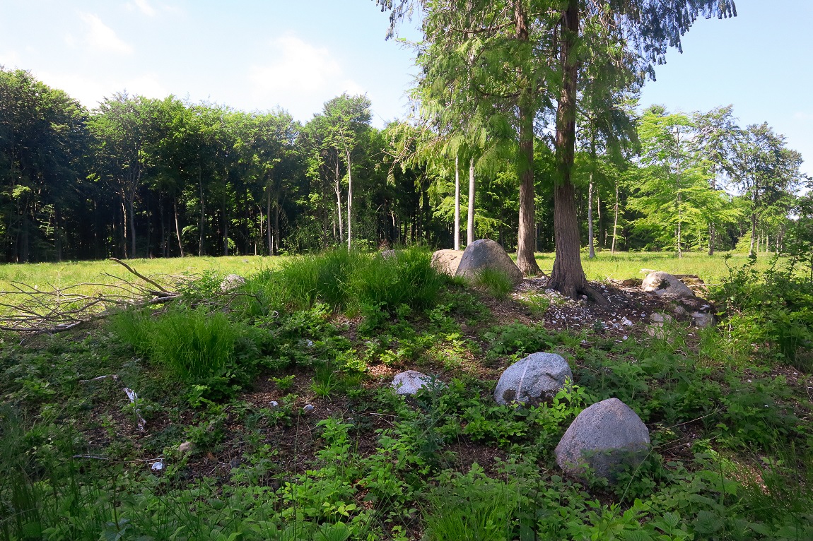 Click for the gallery page to add comments and vote (PID:228786) Alsted Skov Runddysse 2