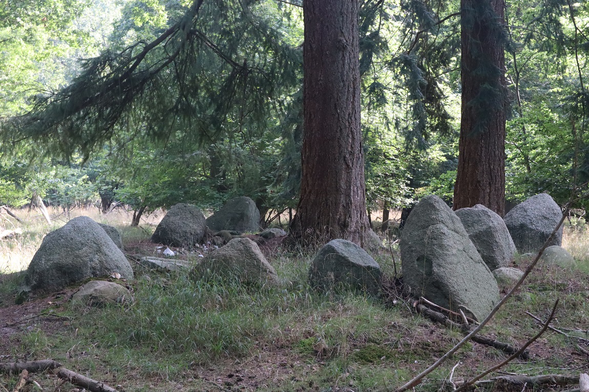 Roden Skov Runddysse